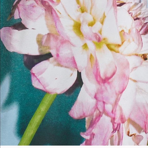 NWT Anthropologie Photorealistic silk dress - Picture 6 of 9